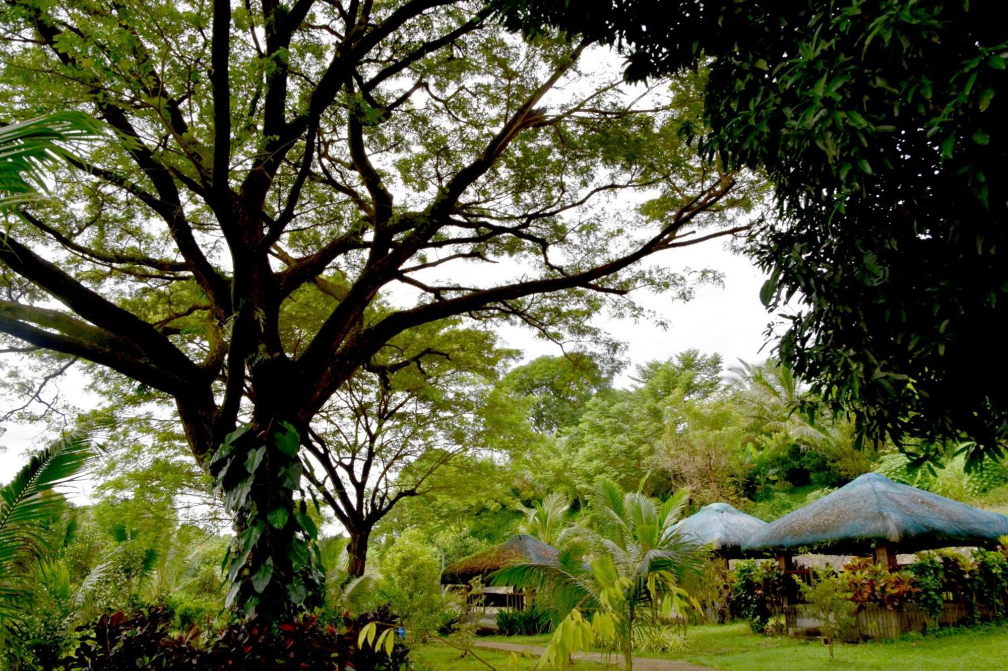 Isla De Oro Hotel Mamburao Exterior photo